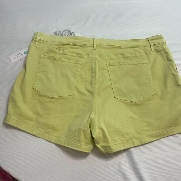 NWT PISTOLA Limeade Plus Size Shorts Size 24W New - Picture 8 of 8
